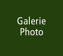 Galerie Photo